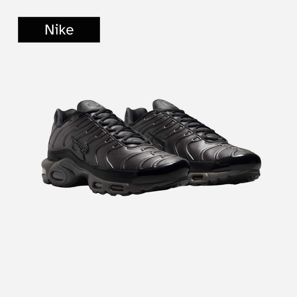 Nike Air Max Plus Premium 'Paris'